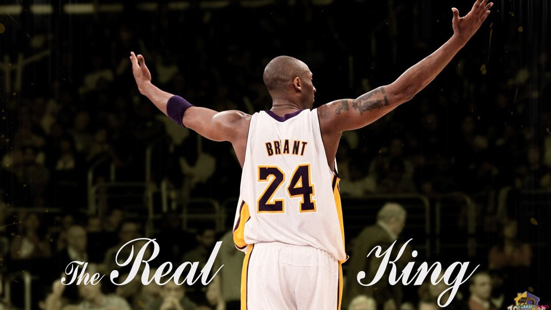 骑士防守强化赛季目标明晰,骑士防守悍将