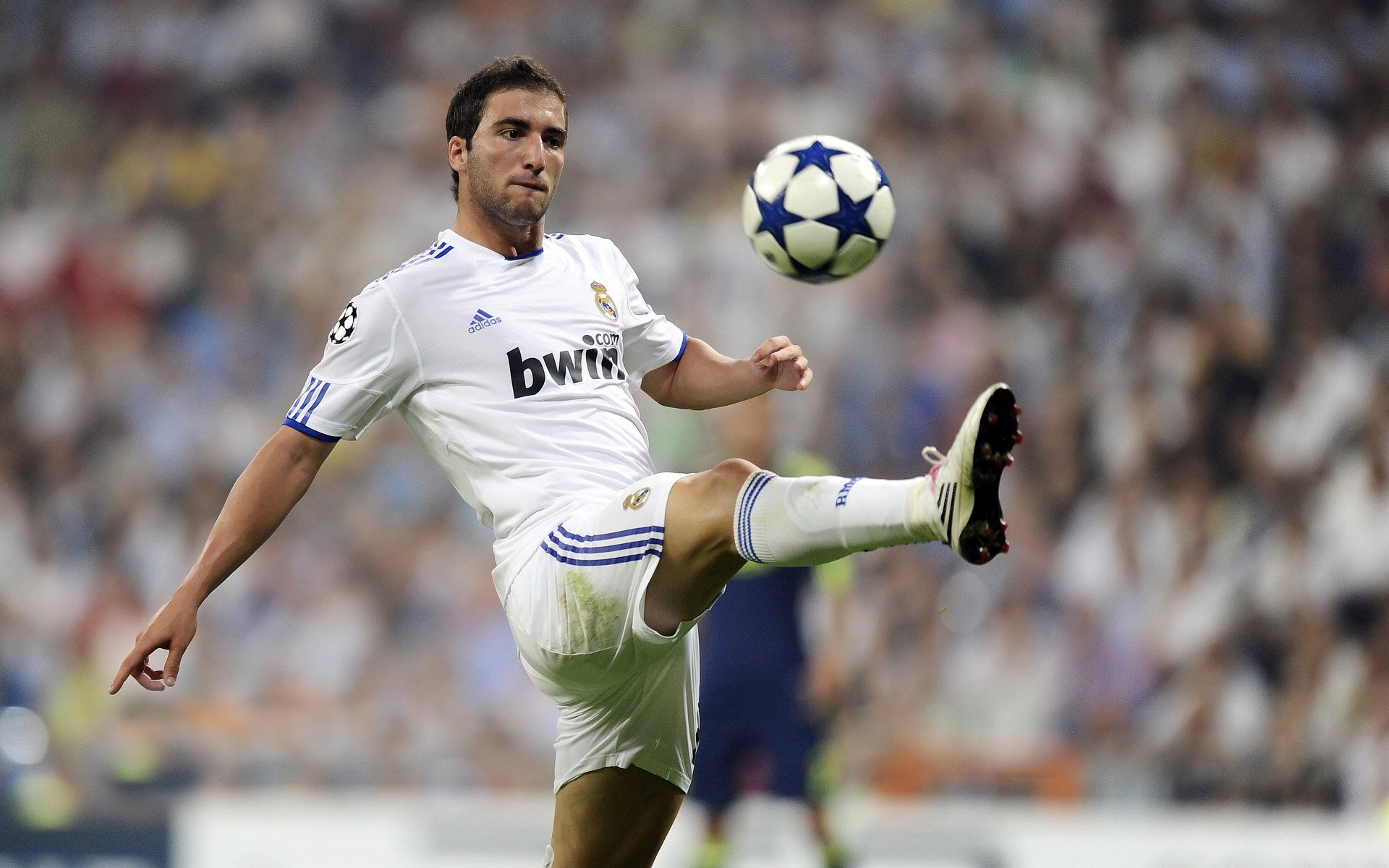 德甲都市战:速度、力量和战术的完美结合,德甲球队城市分布